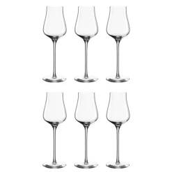 LEONARDO 066413 Brunelli Grappaglas 210 Ml, Teqton Glas, Klar (6 Stück)